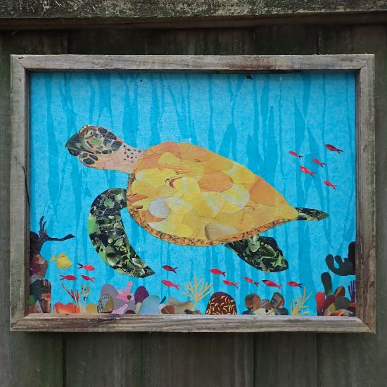 Hawksbill Turtle Collage